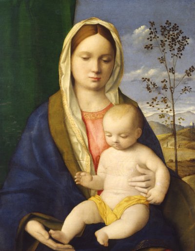 Madonna col Bambino, c.1510 da Giovanni Bellini